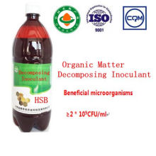 Seaweed Microbial Fermenting Organic Matter Inoculant
